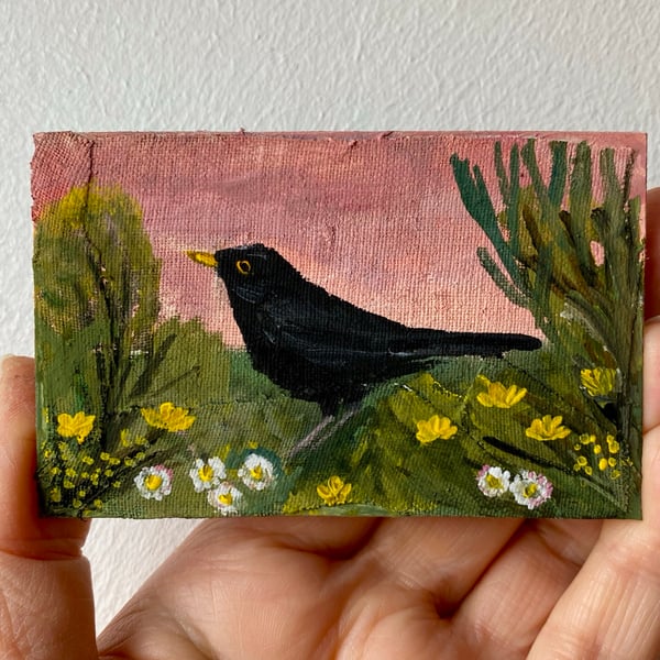 Image of blackbird with pink evening sky