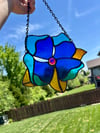 Dogwood Flower - Roxy - Electric Blues