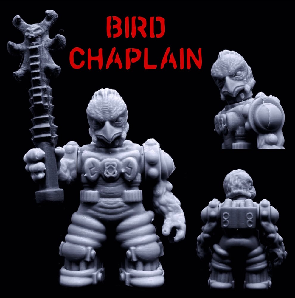 Image of Bird Chaplain (Malformers)