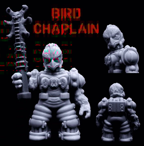 Image of Bird Chaplain (Malformers)