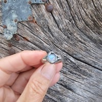 Image 3 of Lil Moon, US 6.5