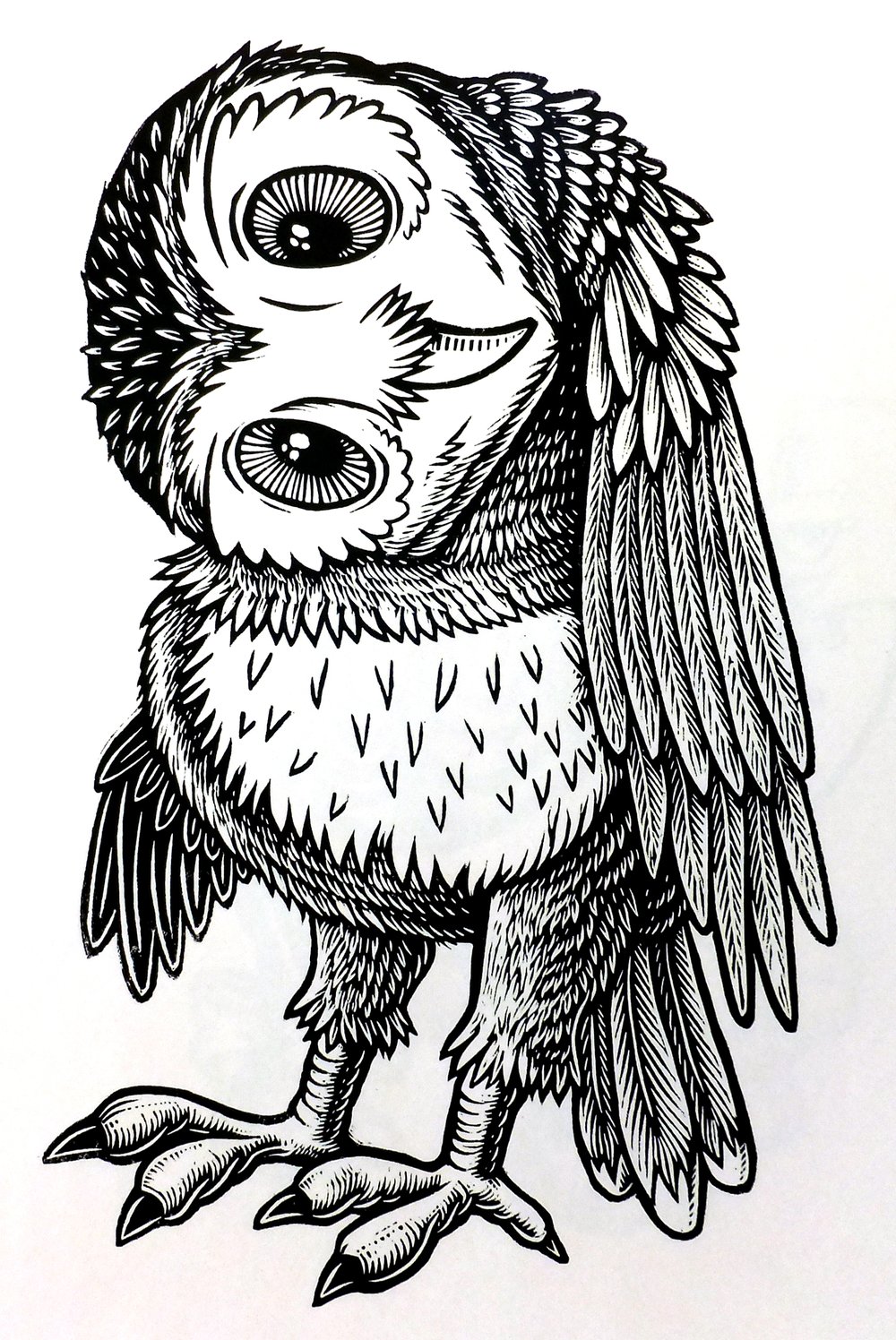 Curious Owl T-shirt (A3) **FREE SHIPPING**