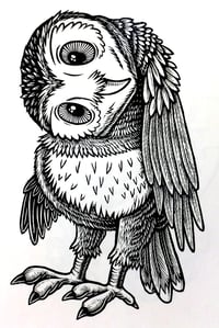 Image 5 of Curious Owl T-shirt (A3)