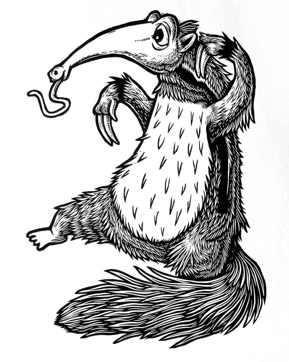 Anteater T-shirt (A3) **FREE SHIPPING**