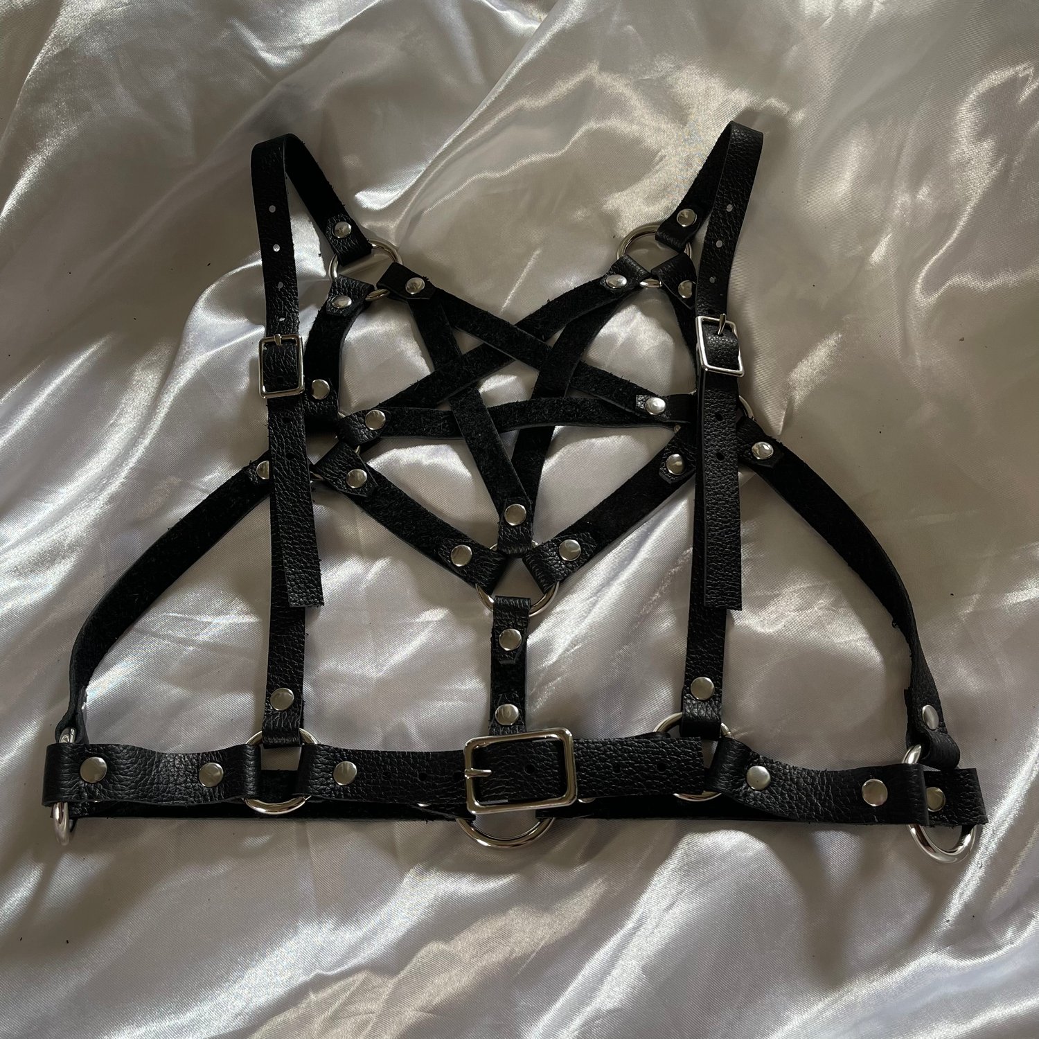 Image of Hell's Angel Harness