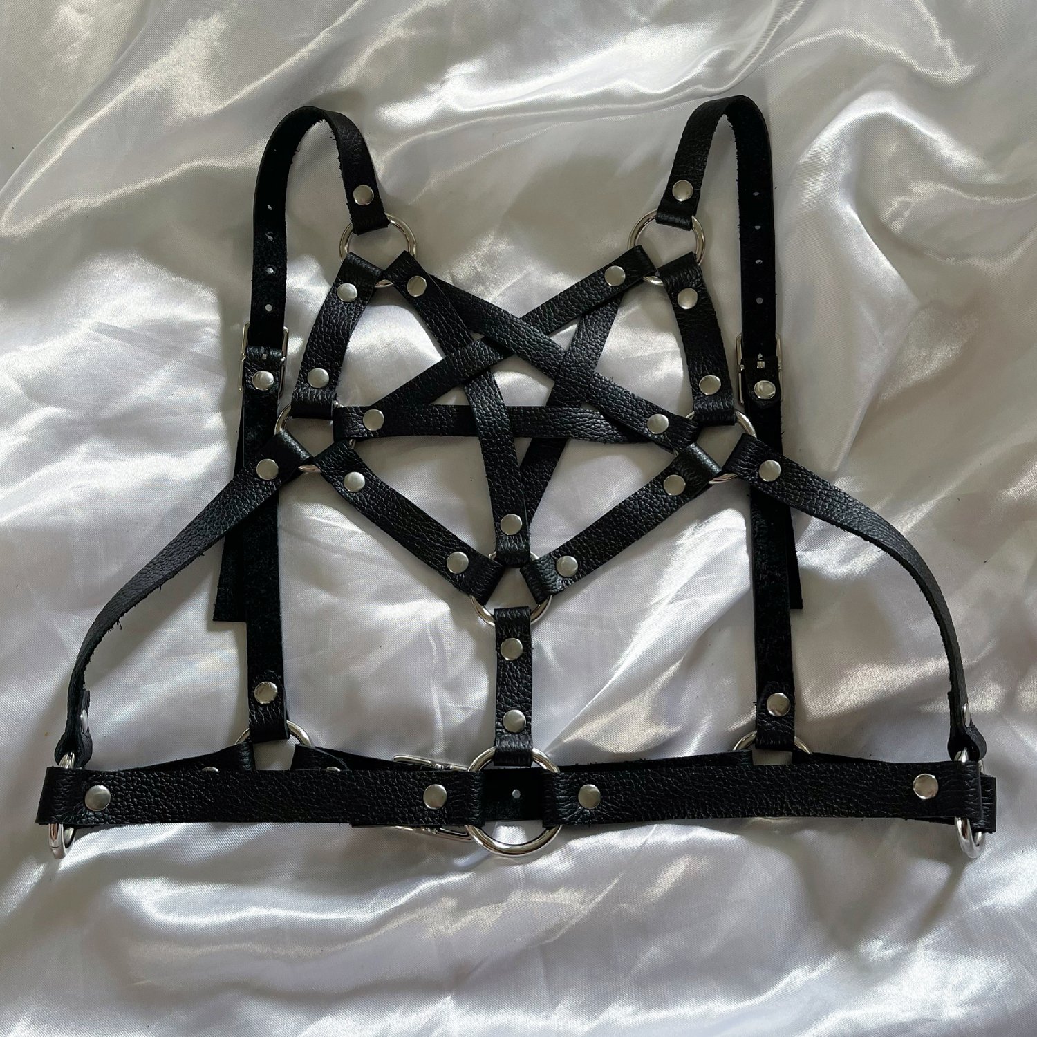 Image of Hell's Angel Harness