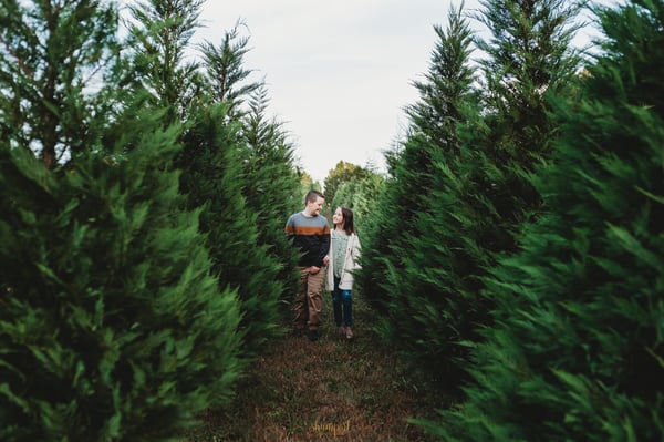 Image of Christmas Mini Sessions