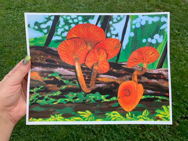 Mushroom Forest print
