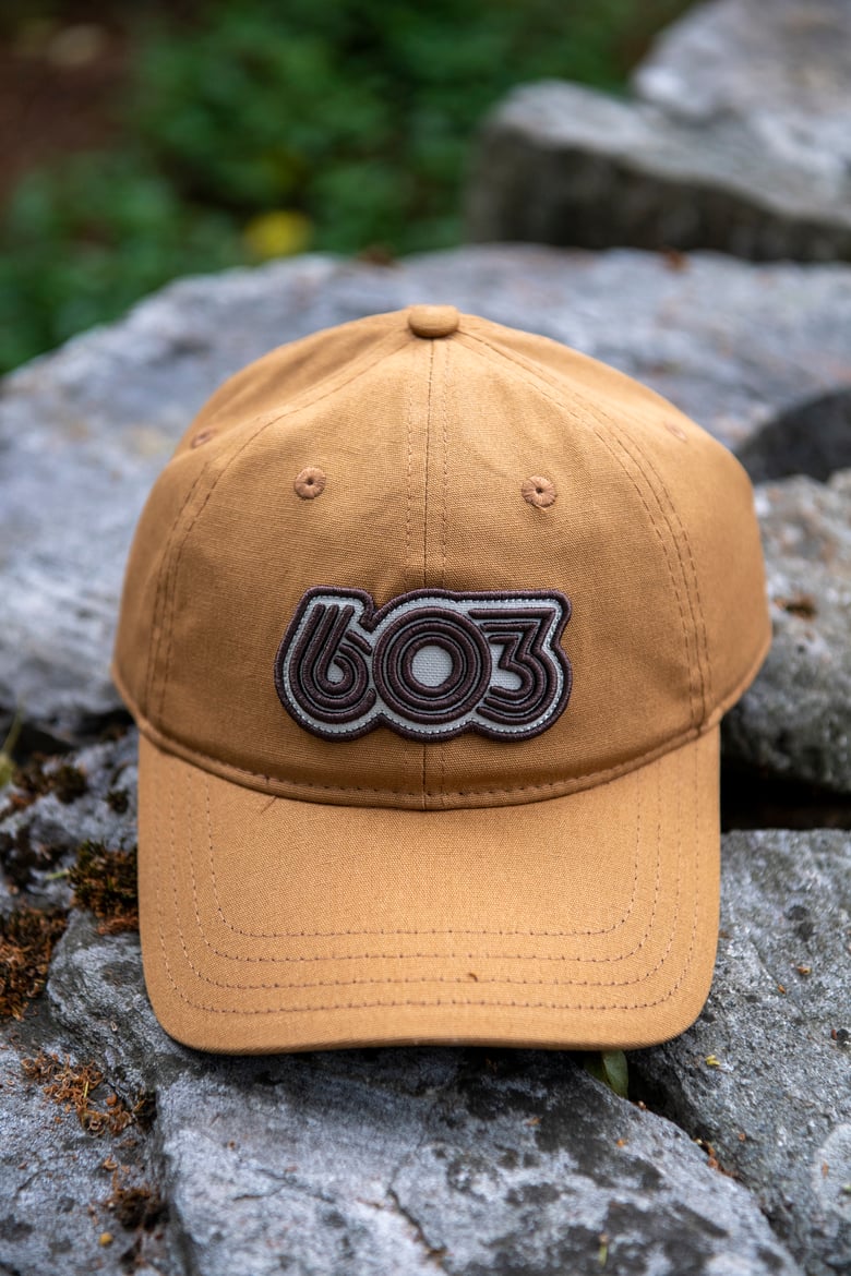 Image of Acorn - 603 Retro Organic Hat 