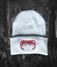 Image 3 of Embroidered Beanies