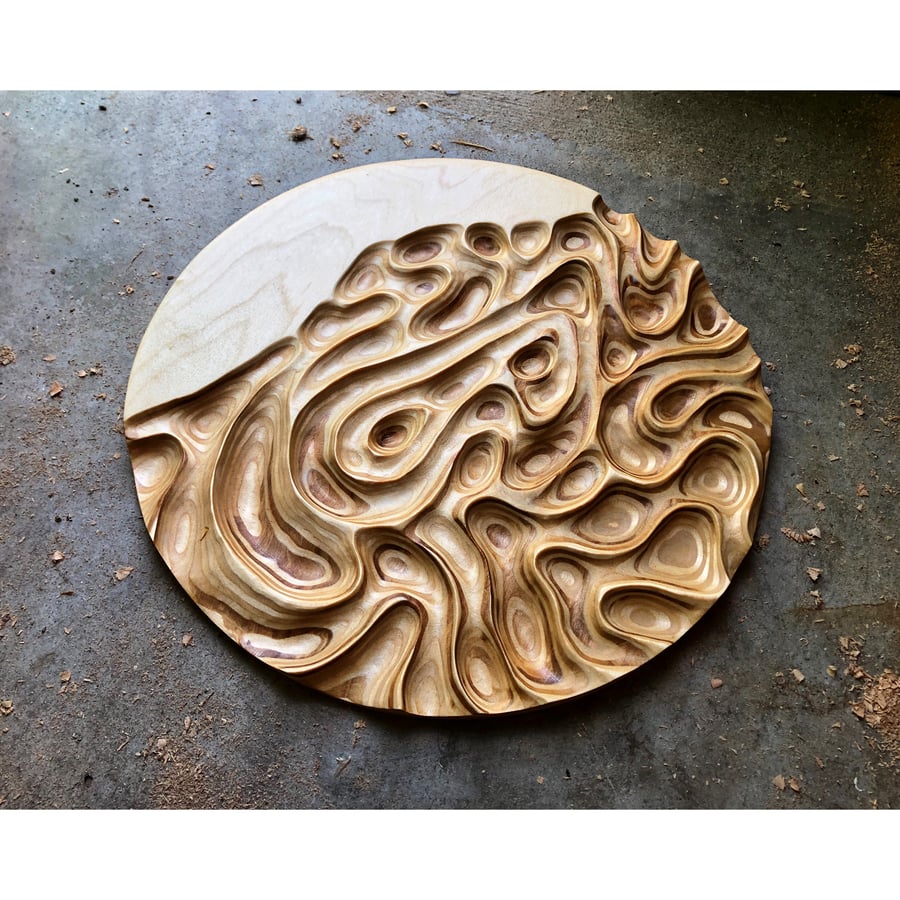 Image of We Became The Stories. Ply Carving. 