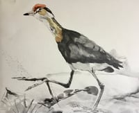 Image 2 of Jacana study