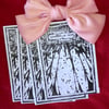 SIX DAYS OF PARA - zine