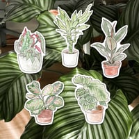 Image 1 of Plantherapy stickers