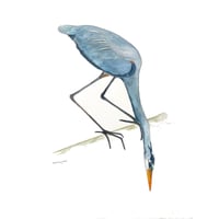 The Blue Heron Bird, original fine art watercolor painting