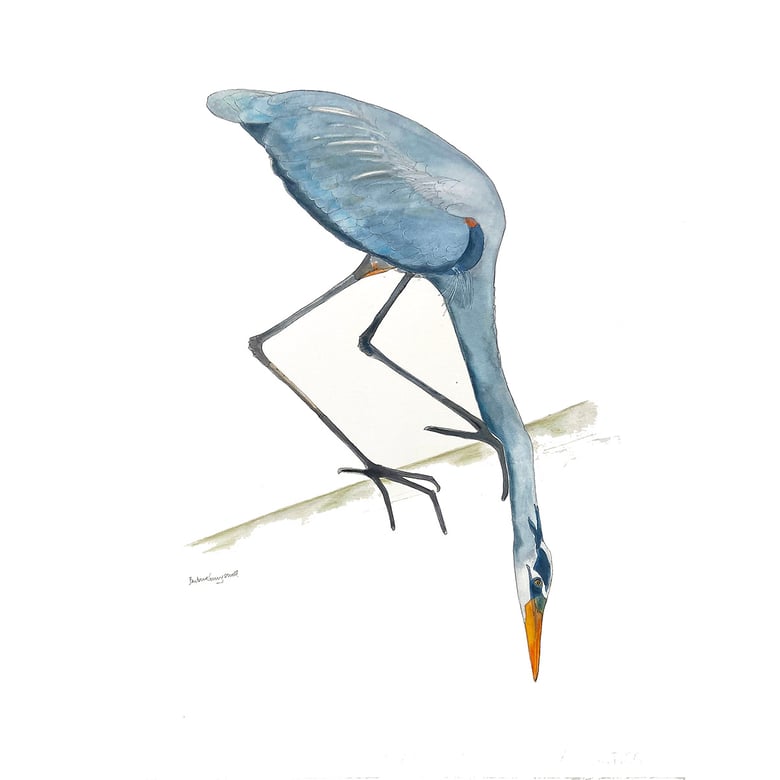 Image of Heron in the keys, Nature-Inspired watercolor artwork