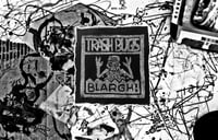 Image 1 of Trash Bugs BLARGH patch