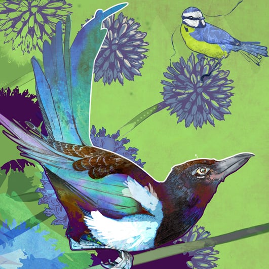 Image of The Magpie and The Bluetit