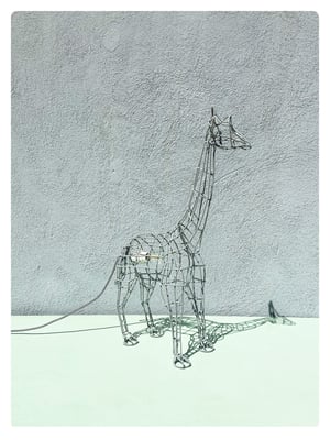 Image of Girafe gris clair
