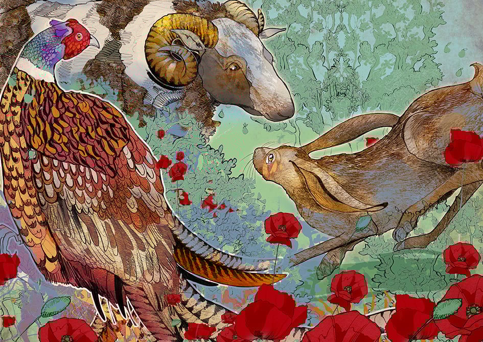 Image of Hare, Jacob, Pheasant.