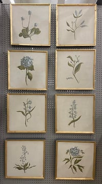 Image 2 of Botanical 7