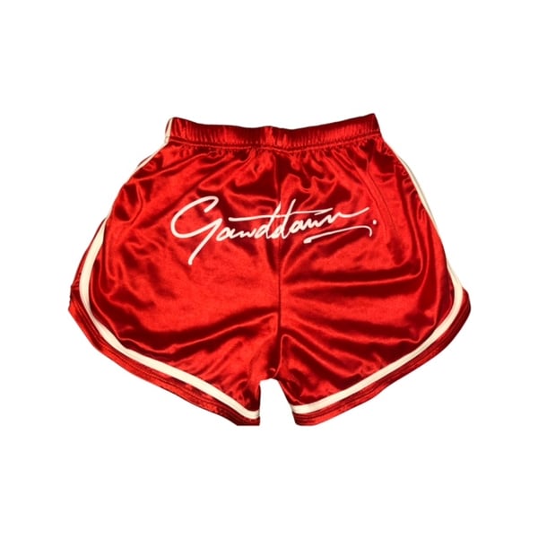 Image of Silk Booty Shorts