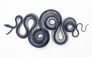 Image of Reticulated Python Articulation