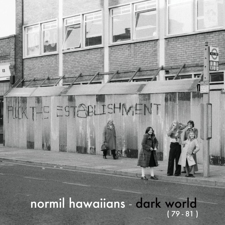 Image of NORMIL HAWAIIANS - 'Dark World'