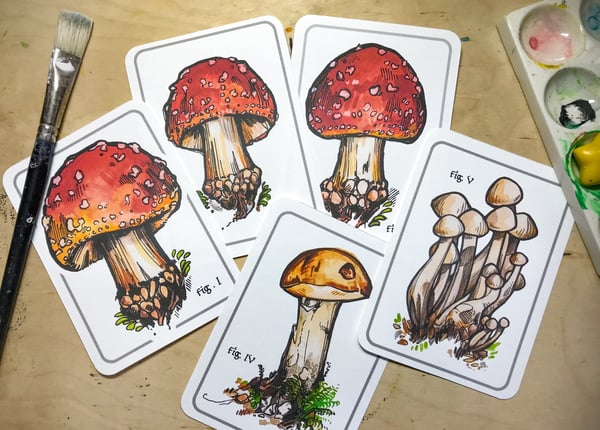 Image of Mushroom Mini Print Collection