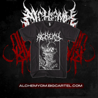 Infinite Forms of Comfort 