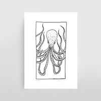 Image 1 of OCTOPUS - SERIES I A