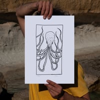 Image 4 of OCTOPUS - SERIES I A