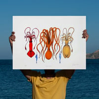 Image 2 of FISHING FOR TENTACLES - SERIES II