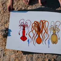 Image 4 of FISHING FOR TENTACLES - SERIES II