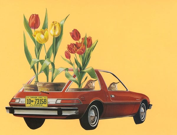 Image of Tulip Mania. Limited edition collage print.