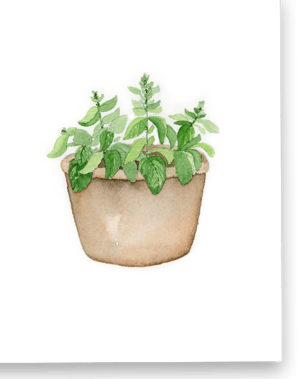 Image of Basil Greeting Card