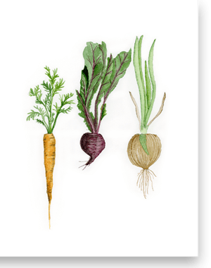 Image of Vegetable Medley Greeting Card