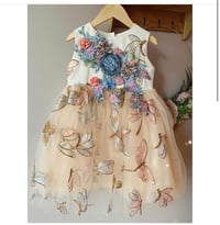 Dragonfly dress 