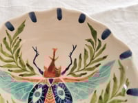 Image 2 of Set de dos platos con decoración de insectos. 