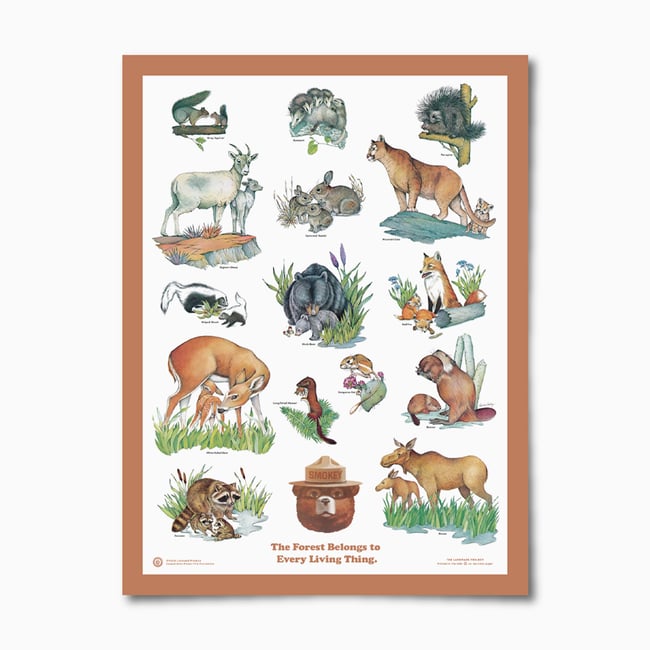 Baby Animals Educational Poster 18x25