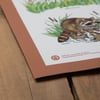 Baby Animals Educational Poster 18x25