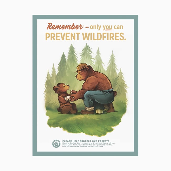 Prevent Wildfires Poster 12x16 