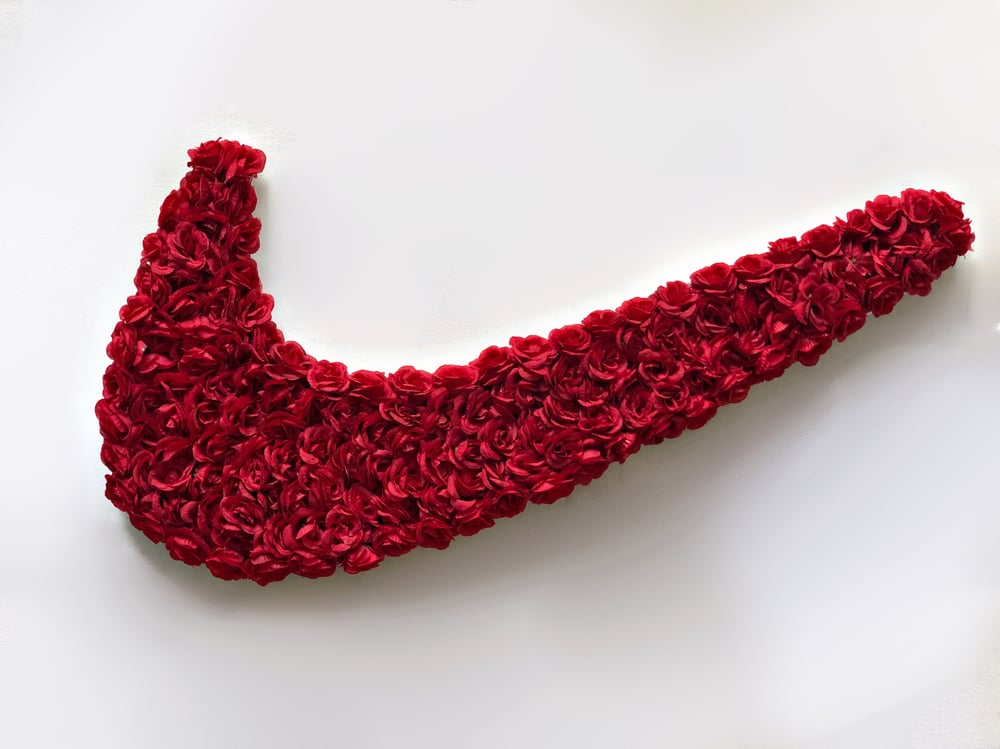 Swoosh in Bloom - Red Roses