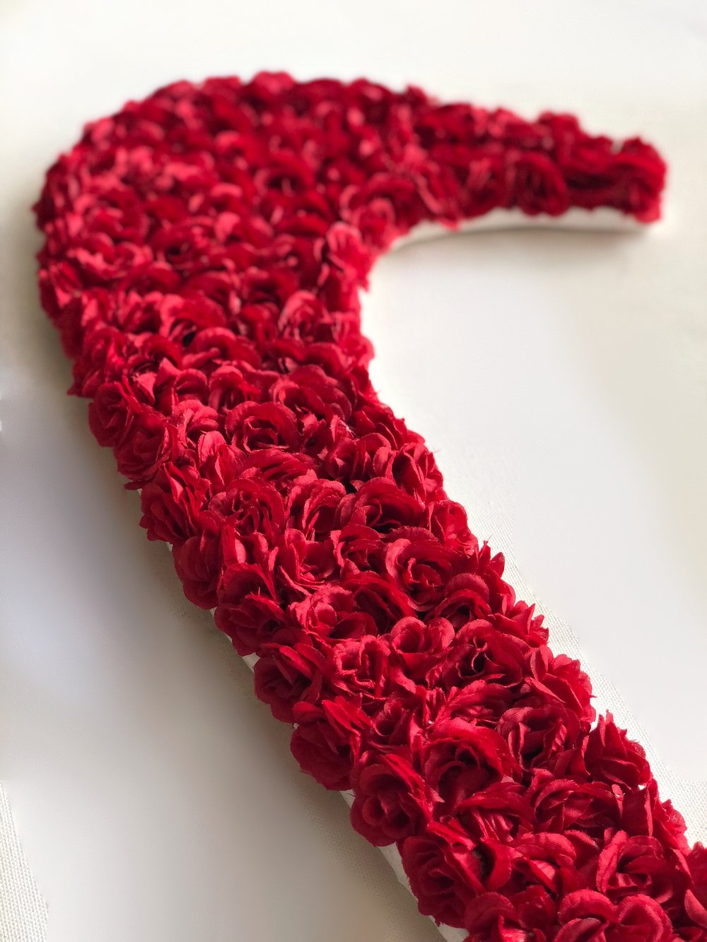 Swoosh in Bloom - Red Roses