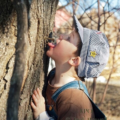 Pure Vermont Maple Syrup 8.5 oz