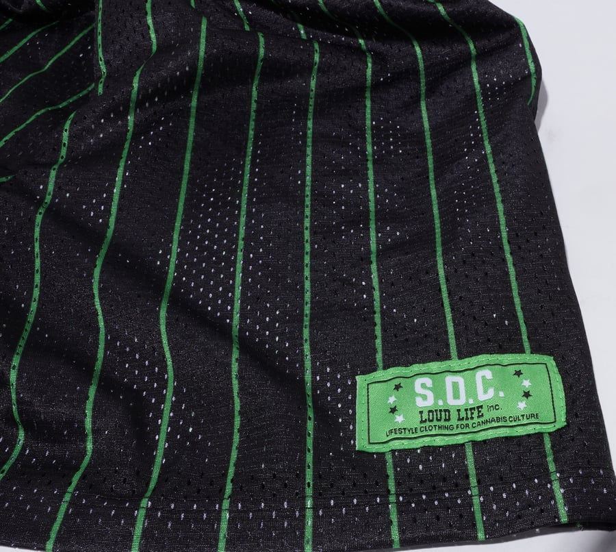 Image of Mesh shorts Black/slime