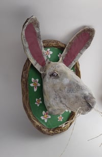Image 1 of Bunny 1