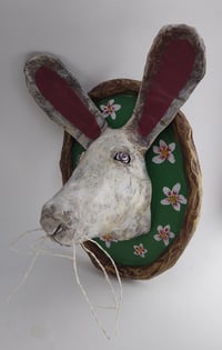 Image 2 of Bunny 1