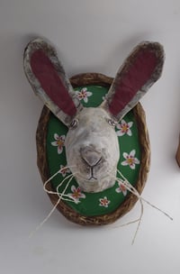 Image 3 of Bunny 1