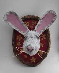Image 1 of Bunny 2